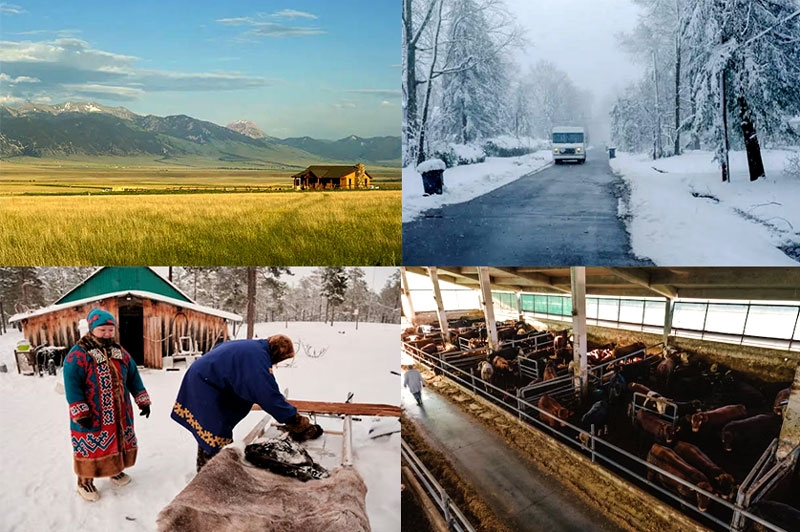 Reasons for difficulty with electricity