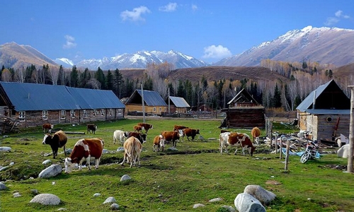 Rural and pastoral areas